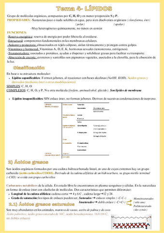 Tema-4-Lípidos-2oBachillerato.pdf
