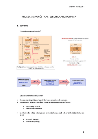 ELECTROCARDIOGRAMA.pdf