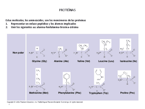 Preguntas-de-proteinas-taller.pdf