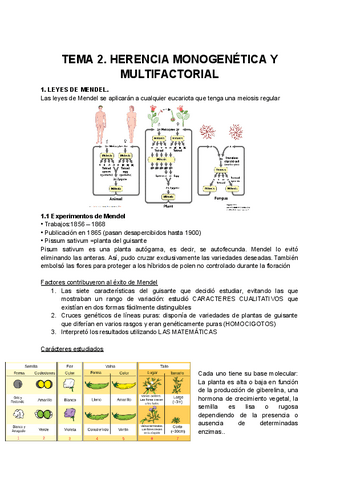 TEMA-2.-HERENCIA-MONOGENETICA-Y-MULTIFACTORIAL-1.pdf