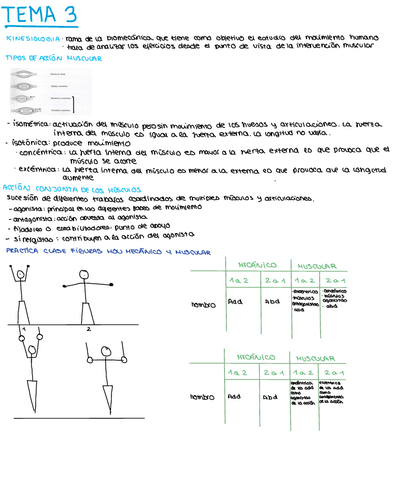 tema-3-sistematica.pdf