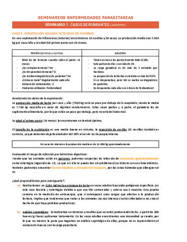 SEMINARIO-RUMIANTES.pdf