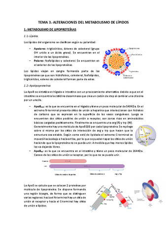 Tema 3.-Alteraciones-metabolismo-lipidos.pdf