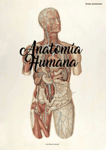 Estructura-general-generalidades-locomotor-cabeza-torax.pdf