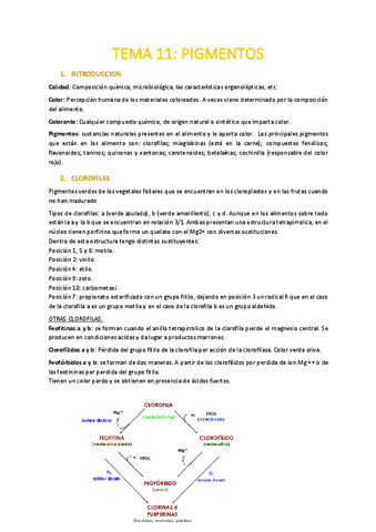 TEMA-11.pdf