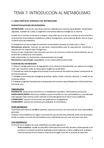 TEMA-7.pdf