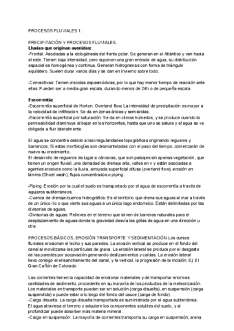 MODELADO-FLUVIALGRAVITACIONAL.pdf