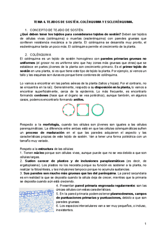 TEMA-4.pdf
