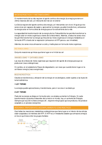 APUNTES-TEMA-2-BIOENERGETICA-Y-METABOLISMO.pdf