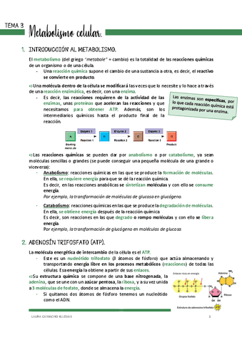 TEMA-3-METABOLISMO-CELULAR.pdf