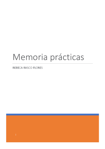 memoria-de-praticas.pdf