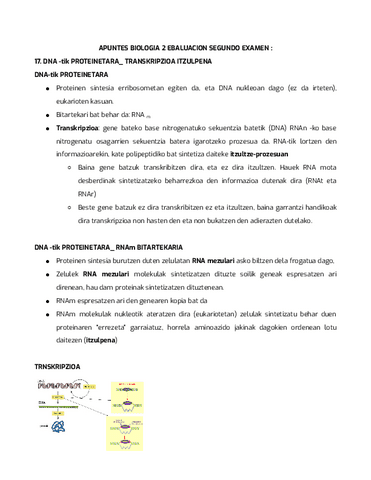 APUNTES-BIOLOGIA-tema-transkripzio-itzulpena-Google-Dokumentuak.pdf