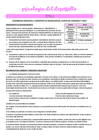 TEMA-2.pdf