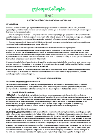 TEMA-5.pdf