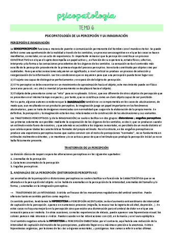 TEMA-6.pdf