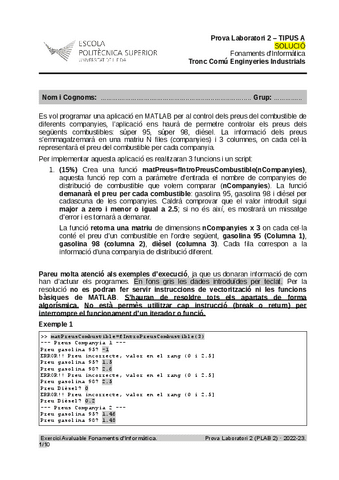 PLAB2CompanyiesCombustibleSOLUCIO.pdf