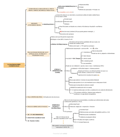 T.4-Malformaciones-craneofaciales.pdf
