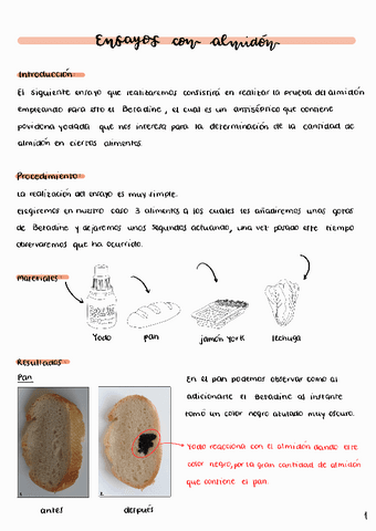 Ensayo-2-BETADINE.pdf