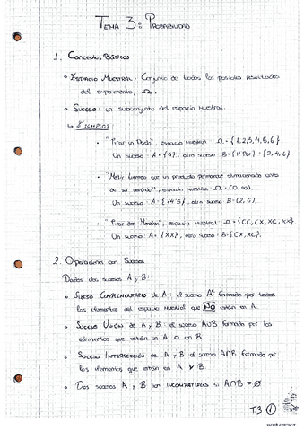 Tema-3-con-Ejemplos-y-Problemas-Resueltos.pdf