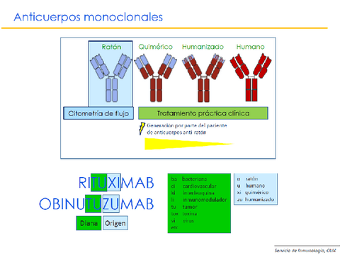 TBL1-Inmunoglobulina.pdf