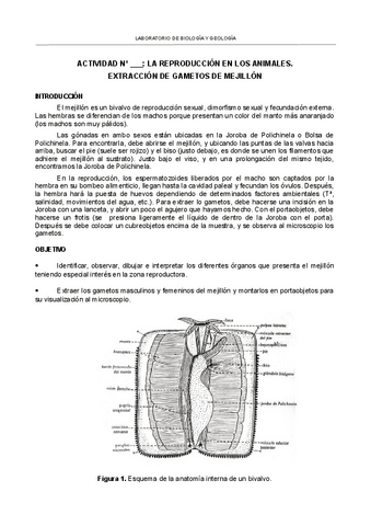 68gametosmejillon.pdf