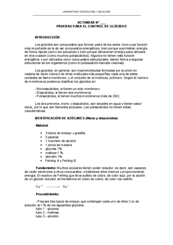 8-Test-glucidos.pdf