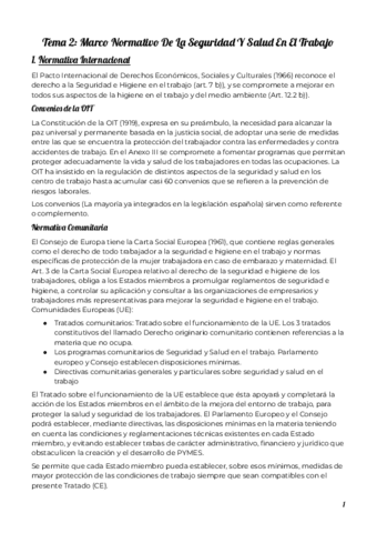 TEMA-2-SEGURIDAD-EN-EL-TRABAJO-Y-ACCION-SOCIAL-EN-LA-EMPRESA.pdf