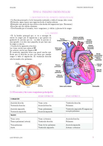 FISIOLOGIA-CARDIOVASCULAR.pdf