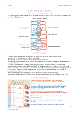 circulacion-arterial.pdf