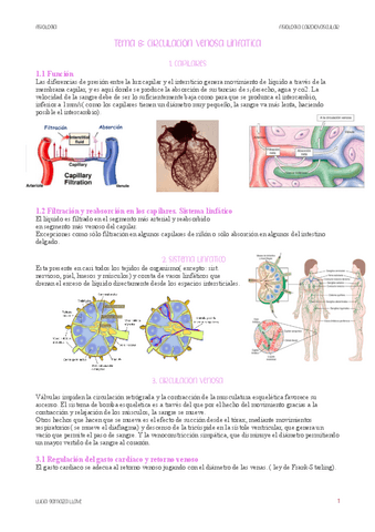 circulacion-venosa-linfatica.pdf