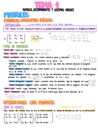 Tema-1-Matrices-determinantes-y-Sistemas.pdf