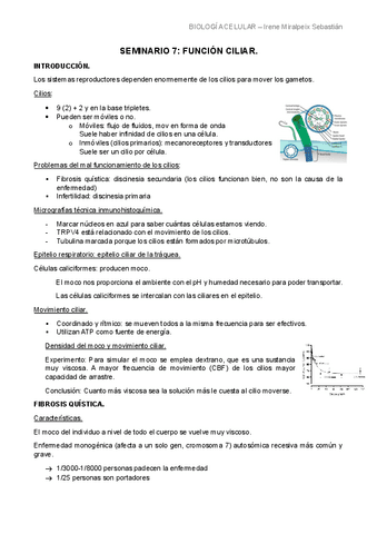 SEMINARIO-7-LIMPIO.pdf