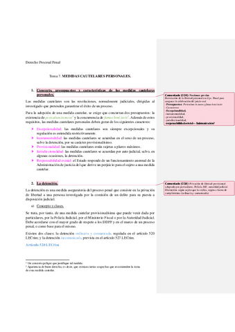 Tema-7.-MEDIDAS-CAUTELARES-PERSONALES.pdf