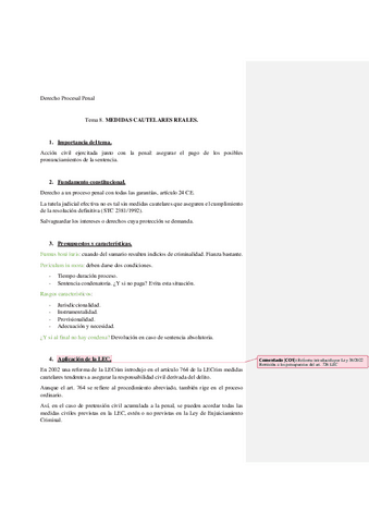 Tema-8.-MEDIDAS-CAUTELARES-REALES.pdf