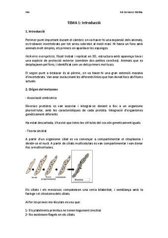 TEMA-1-Introduccio.pdf