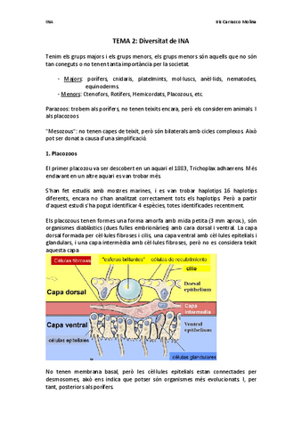 TEMA-2-Diversitat-INA.pdf