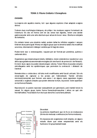 TEMA-3-Cnidaris-i-ctenofors.pdf