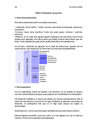 TEMA-4-Platelmints-i-grups-afins.pdf