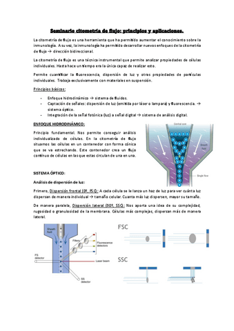 EXAMEN-Seminario-citometria-de-flujo.pdf
