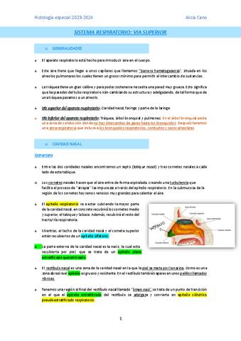 sistema-respiratorio.pdf