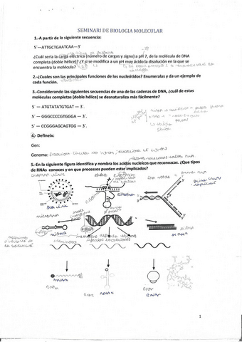 respuestas-seminario-2-bioquimicacompressed-1.pdf