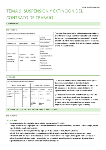 Tema-9.-Suspension-y-extincion-del-contrato-de-trabajo.pdf