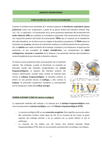 ABP3-respiratorio.pdf