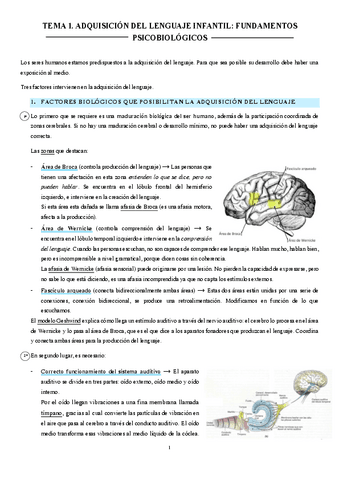 APUNTES-DLL-TEMAS-1-Y-2.pdf