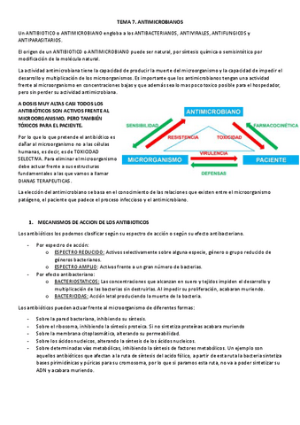 TEMA-7-MICRO.pdf