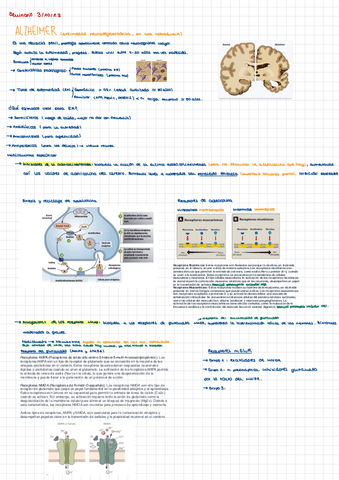 seminario-Alzheimer.pdf