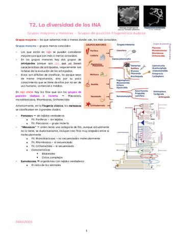 T2.-La-diversidad-de-los-INA.pdf