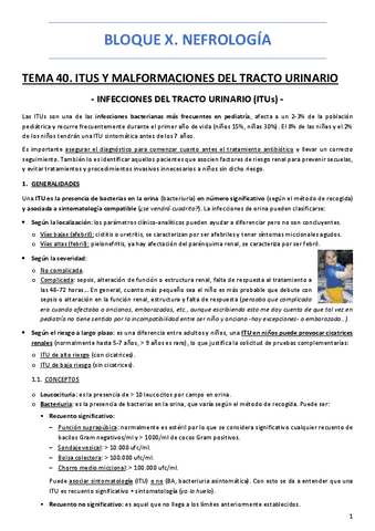 BLOQUE-X.-NEFROLOGIA.pdf
