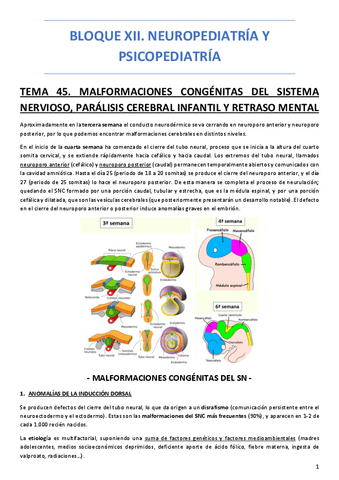 BLOQUE-XII.-NEUROPEDIATRIA-Y-PSICOPEDIATRIA.pdf
