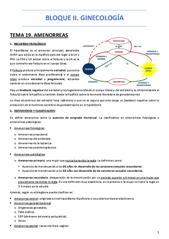 GINECOLOGIA-COMPLETA-MH.pdf